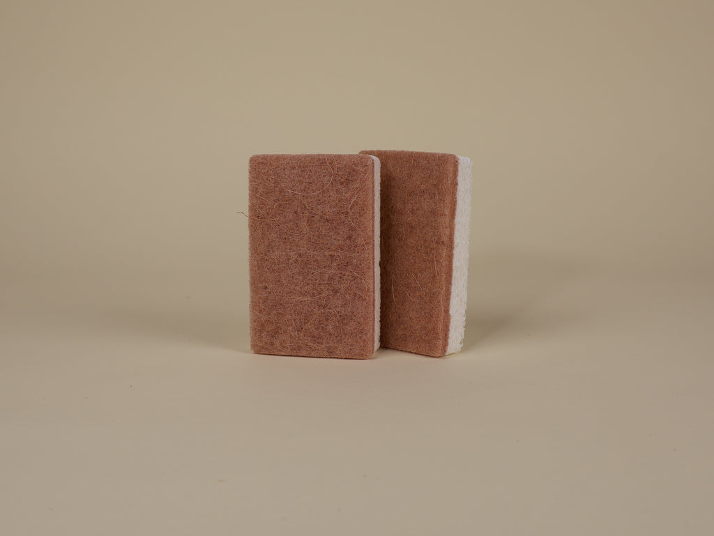 Kokos-Schwamm 2er-Set